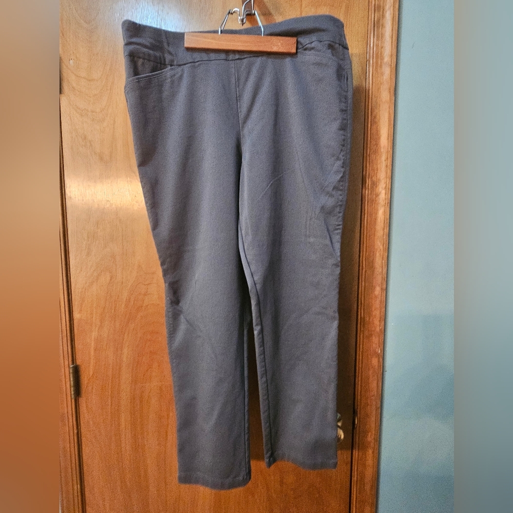 Gray Pull On Stretch Pant